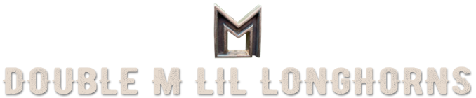 Double M Lil Longhorns Logo